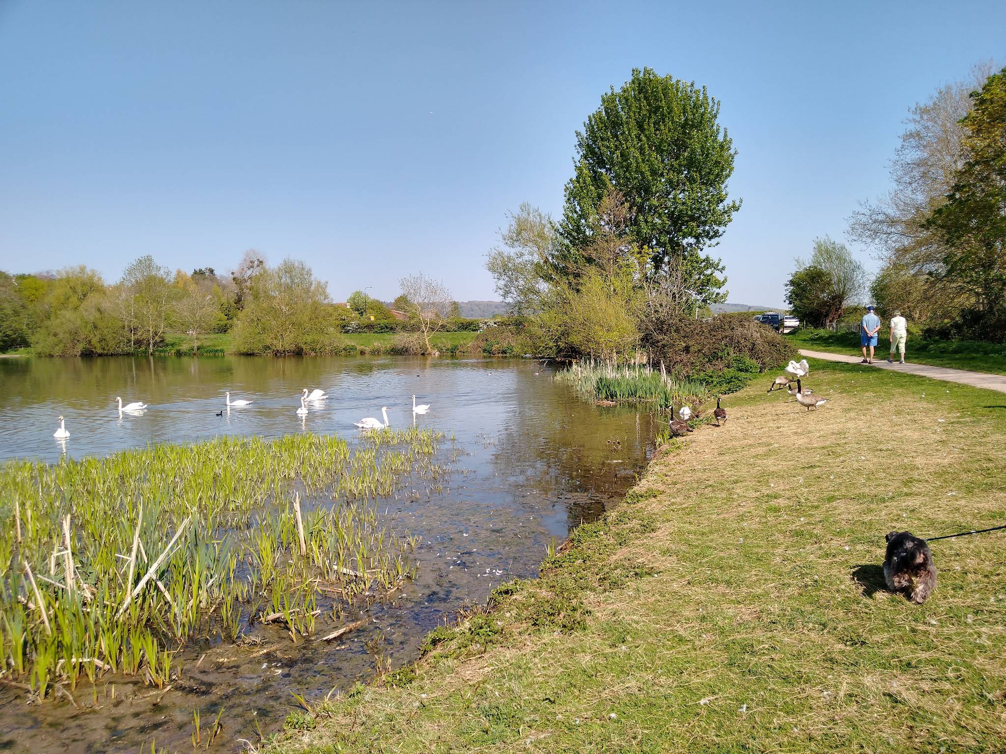 Backwell Lake